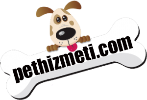 Pethizmeti.com